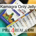 Kamagra Only Jelly 11